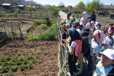 Agrandir l'image 3 sur 3, fenêtre modale