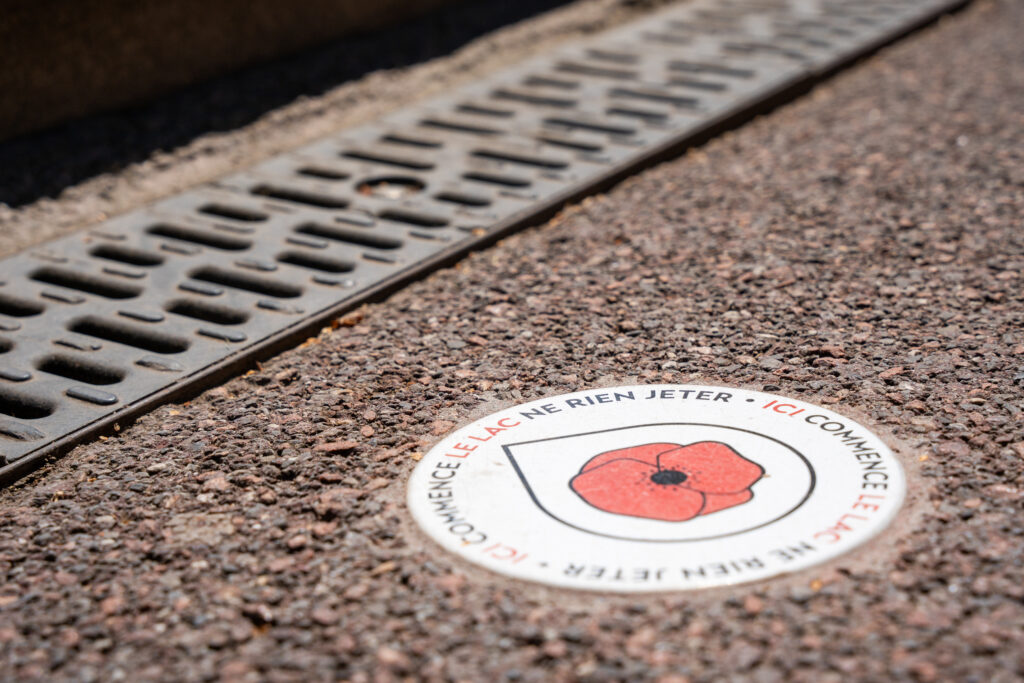 Agrandir l'image, fenêtre modale