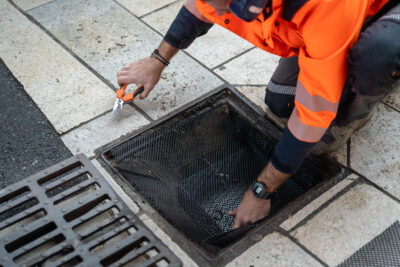 Agrandir l'image 2 sur 9, fenêtre modale