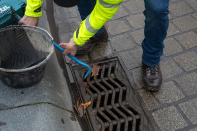 Agrandir l'image 1 sur 3, fenêtre modale