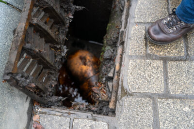 Agrandir l'image 2 sur 3, fenêtre modale