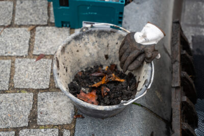 Agrandir l'image 3 sur 3, fenêtre modale