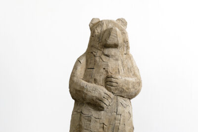 Agrandir l'image 3 sur 3, fenêtre modale