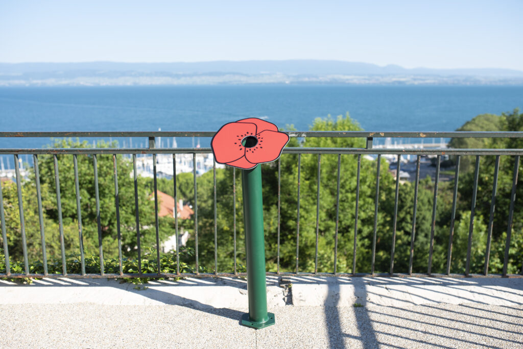 Agrandir l'image, fenêtre modale