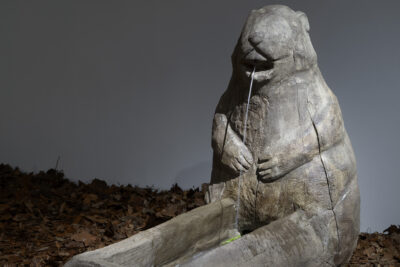 Agrandir l'image 1 sur 2, fenêtre modale