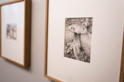 Agrandir l'image 1 sur 3, fenêtre modale