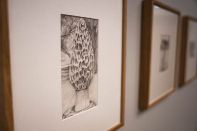 Agrandir l'image 2 sur 3, fenêtre modale