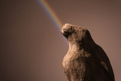 Agrandir l'image 2 sur 3, fenêtre modale