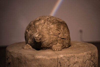 Agrandir l'image 1 sur 3, fenêtre modale