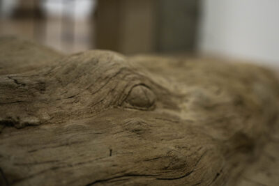 Agrandir l'image 1 sur 3, fenêtre modale