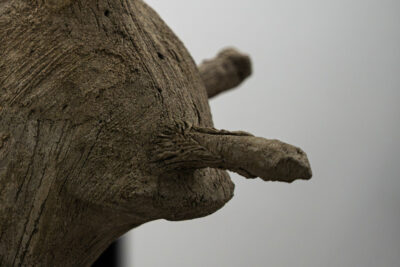 Agrandir l'image 3 sur 3, fenêtre modale