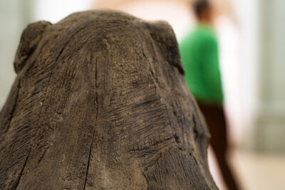 Agrandir l'image 3 sur 3, fenêtre modale