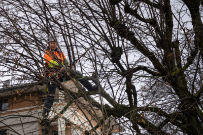 Agrandir l'image 2 sur 6, fenêtre modale