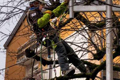 Agrandir l'image 1 sur 6, fenêtre modale