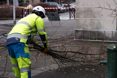 Agrandir l'image 3 sur 6, fenêtre modale