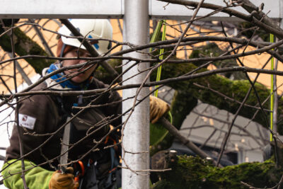 Agrandir l'image 4 sur 6, fenêtre modale