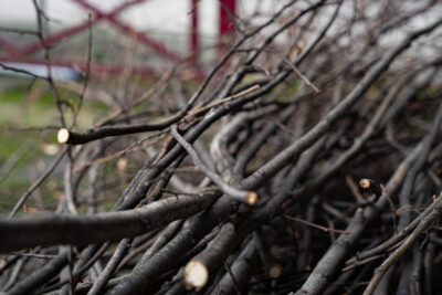 Agrandir l'image 6 sur 6, fenêtre modale