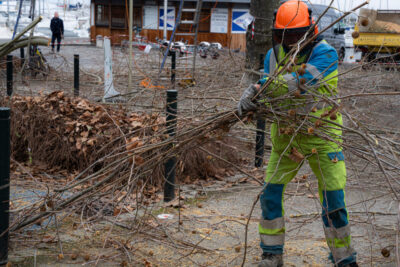 Agrandir l'image 2 sur 3, fenêtre modale