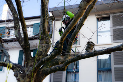 Agrandir l'image 2 sur 9, fenêtre modale