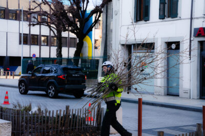 Agrandir l'image 3 sur 9, fenêtre modale