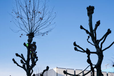 Agrandir l'image 6 sur 9, fenêtre modale