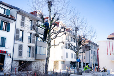 Agrandir l'image 7 sur 9, fenêtre modale