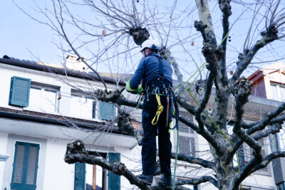 Agrandir l'image 8 sur 9, fenêtre modale