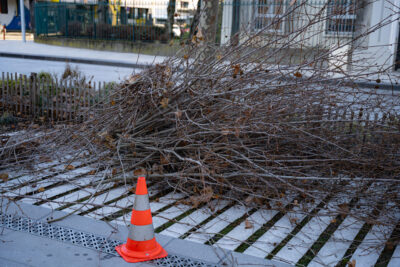 Agrandir l'image 9 sur 9, fenêtre modale