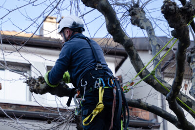 Agrandir l'image 1 sur 3, fenêtre modale