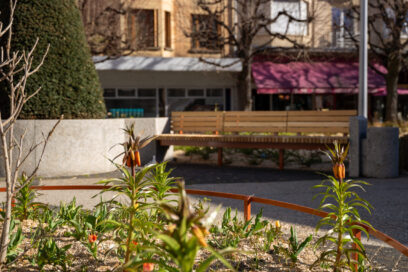 Agrandir l'image, fenêtre modale