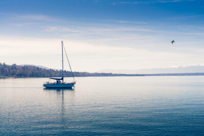 Agrandir l'image 1 sur 12, fenêtre modale