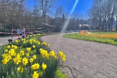 Agrandir l'image 5 sur 6, fenêtre modale