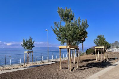 Agrandir l'image 6 sur 6, fenêtre modale