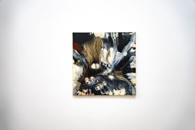 Agrandir l'image 3 sur 3, fenêtre modale