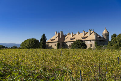 Agrandir l'image 21 sur 27, fenêtre modale