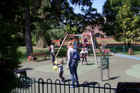 des balançoires avec des enfants dessus et des parents autours