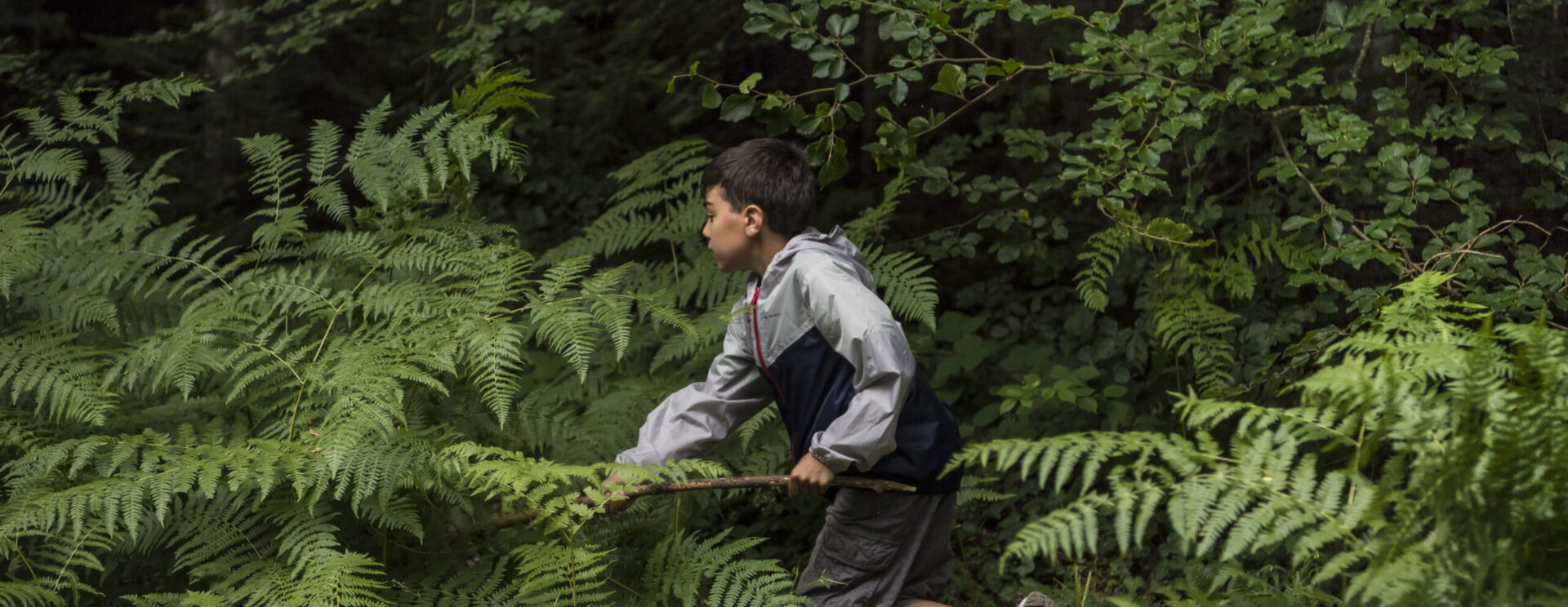 enfant dans les fougères