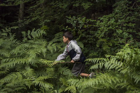 enfant dans les fougères