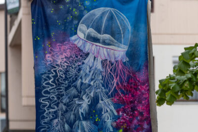 Agrandir l'image 6 sur 9, fenêtre modale