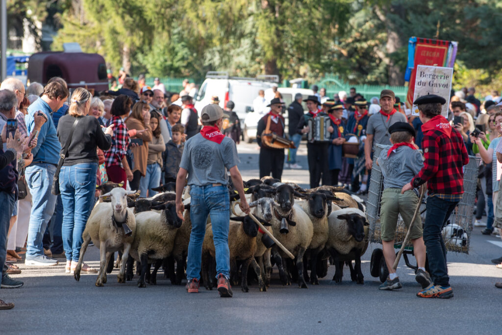 Agrandir l'image, fenêtre modale