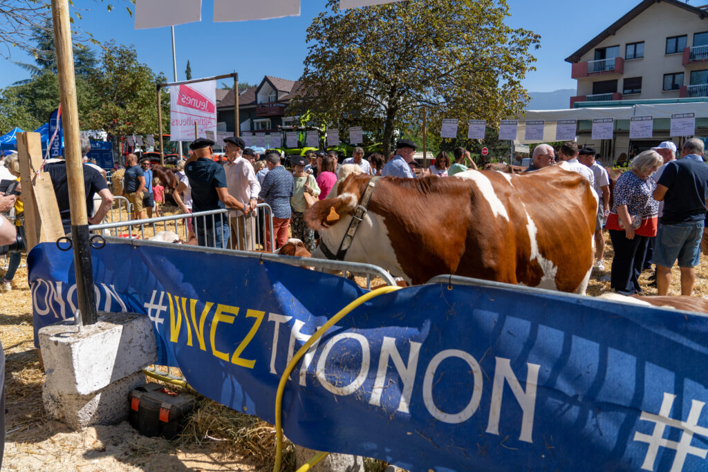 Agrandir l'image, fenêtre modale