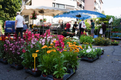 Agrandir l'image 12 sur 19, fenêtre modale