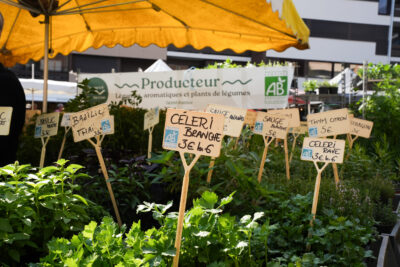 Agrandir l'image 13 sur 19, fenêtre modale