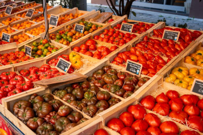 Agrandir l'image 14 sur 19, fenêtre modale