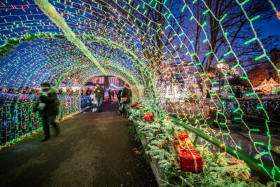 Agrandir l'image 5 sur 19, fenêtre modale