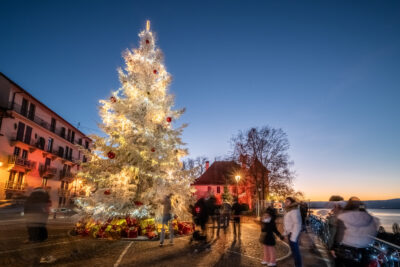 Agrandir l'image 3 sur 19, fenêtre modale