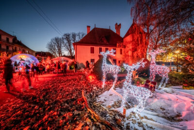 Agrandir l'image 12 sur 19, fenêtre modale