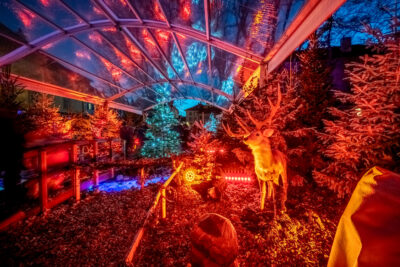 Agrandir l'image 11 sur 19, fenêtre modale