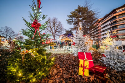 Agrandir l'image 1 sur 19, fenêtre modale