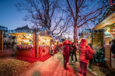 Agrandir l'image 16 sur 19, fenêtre modale